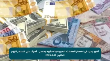 تغير جديد في أسعار العملات العربية والأجنبية بمصر.. تعرف على السعر اليوم الإثنين 18-8-2025